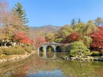 경주 가볼만한곳 베스트10 황리단길 대릉원 야경 산책로 추천_8