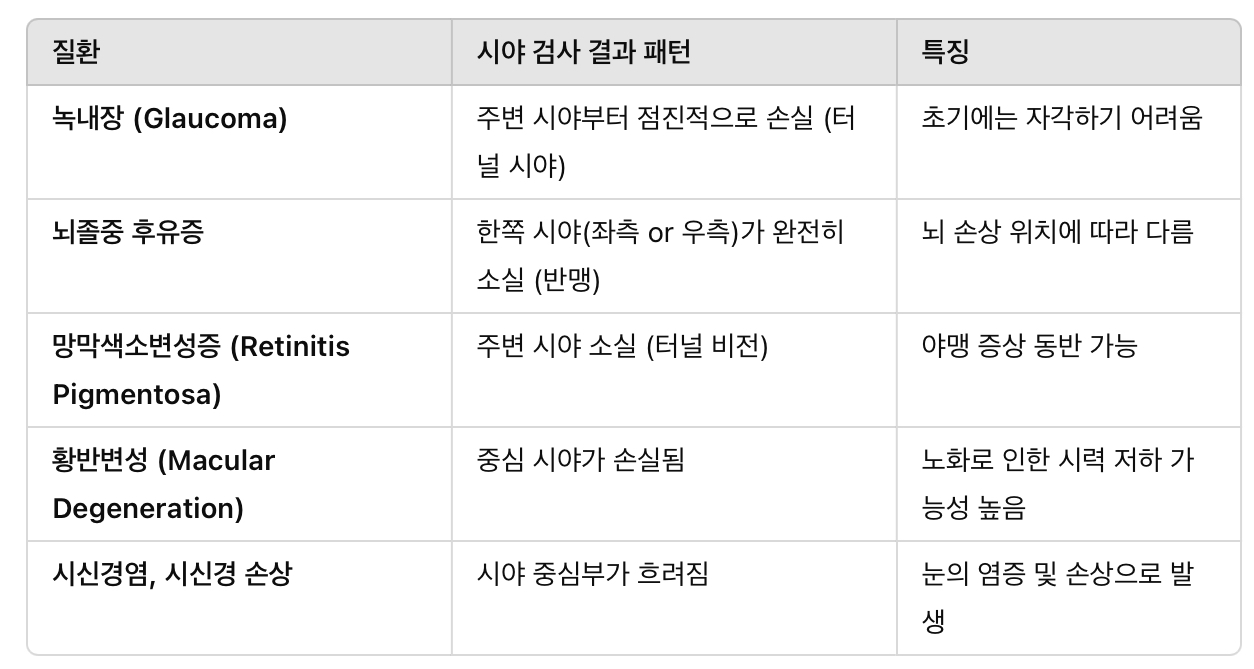 이상 시야 패턴 및 질환별 특징