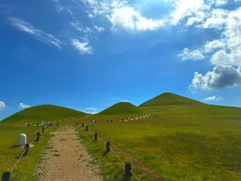 경남 고성 맛집 베스트10 현지인 숨겨진 맛집_16