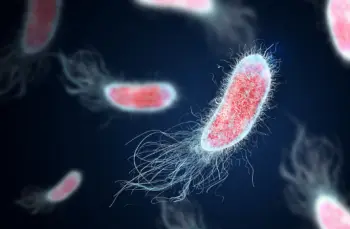 방광염 증상 및 치료법, 원인과 예방법