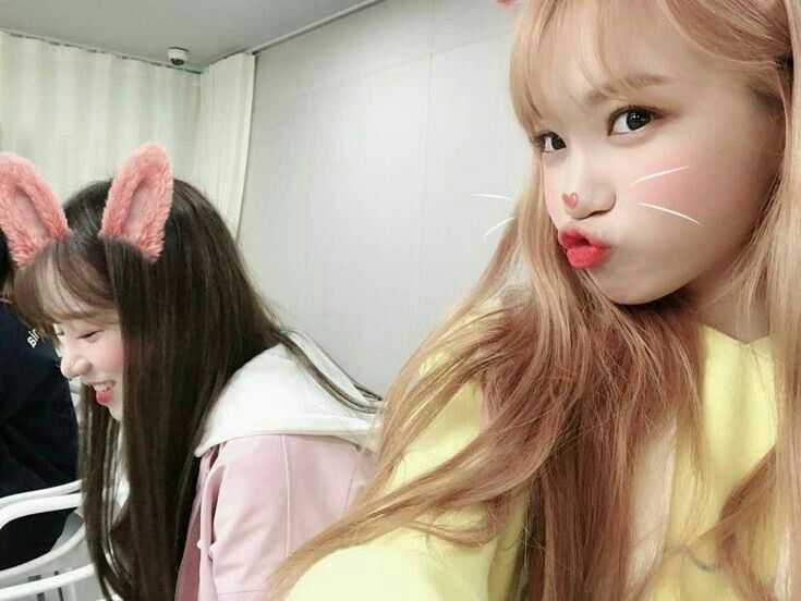 아이즈원 프로듀스48 사진 모음 아이즈원 프로듀스48 사진 모음