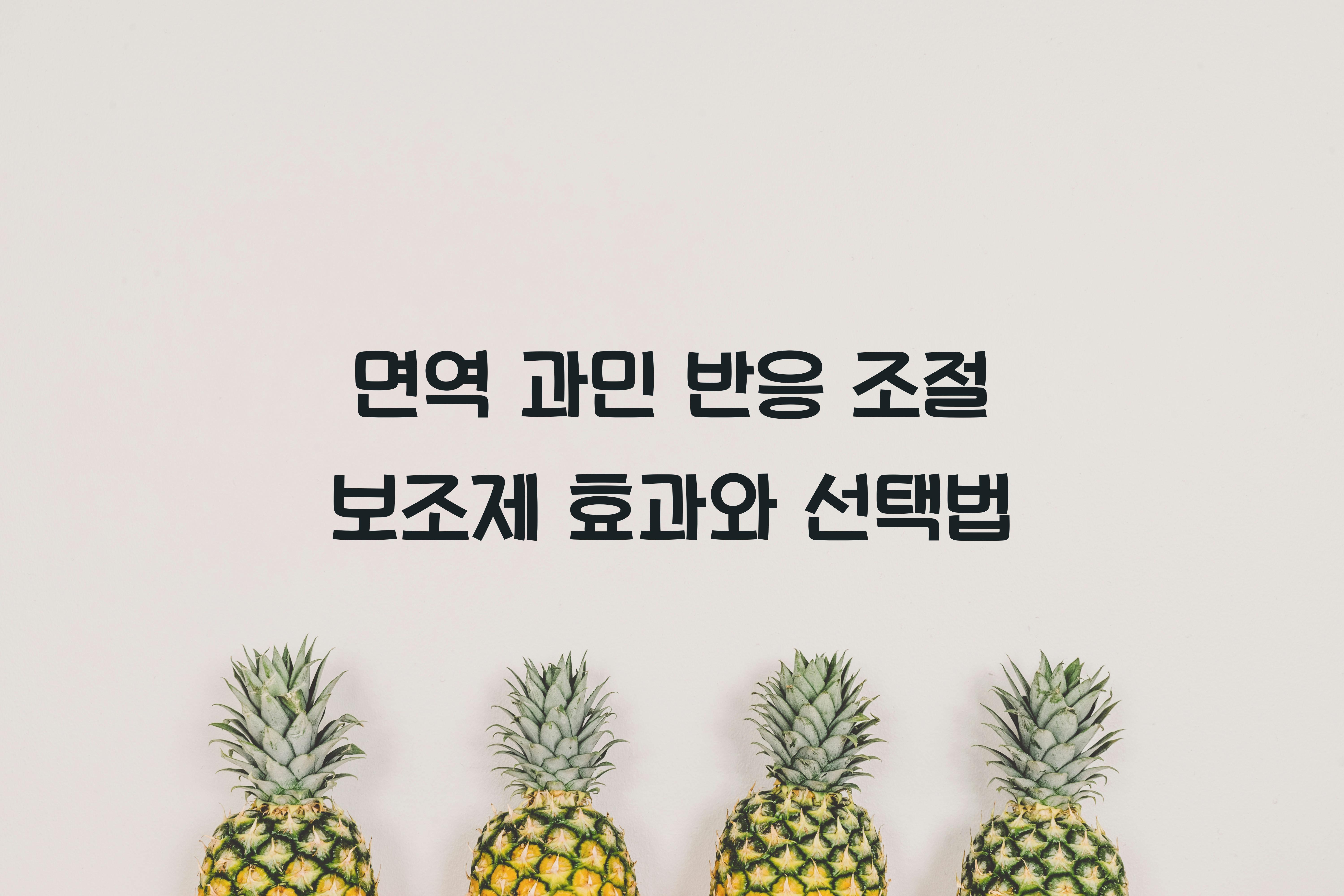 면역 과민 반응 조절 보조제