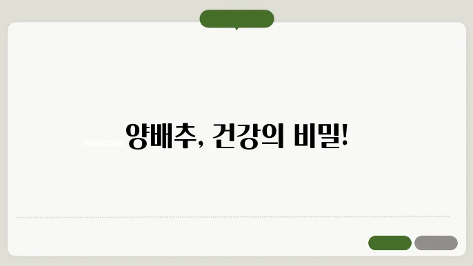 양배추 효능 10가지, 부작용