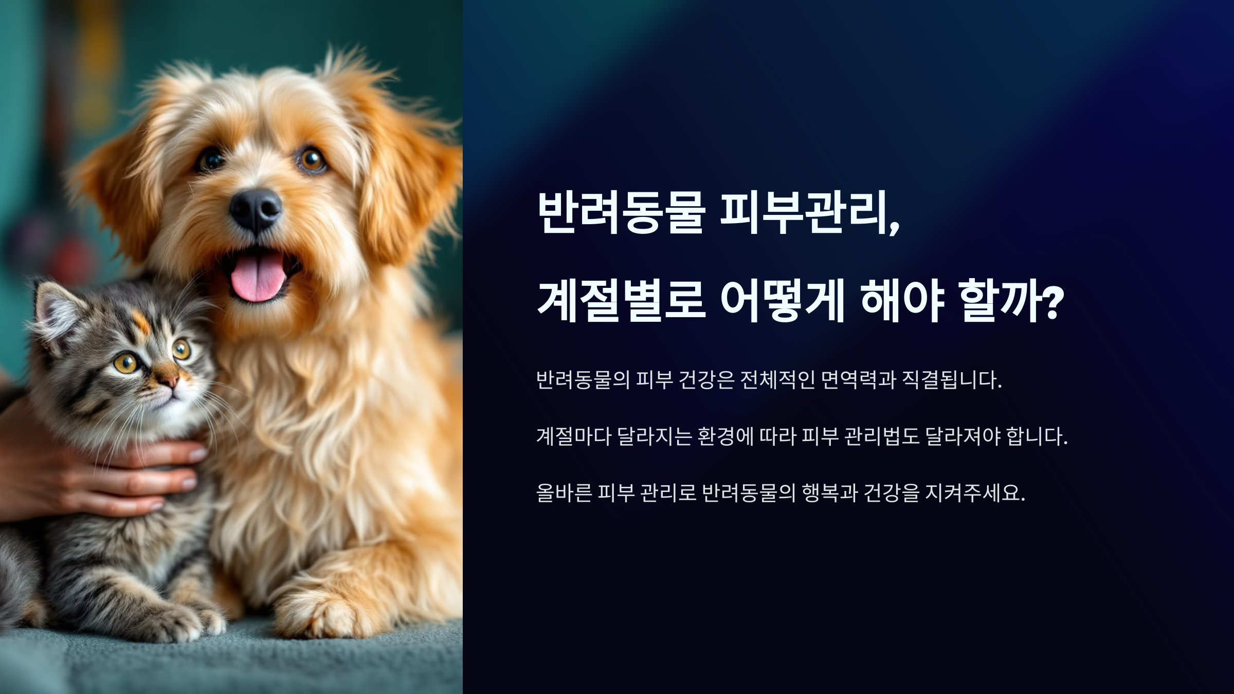 반려동물 피부관리, 계절별로 어떻게 해야 할까?