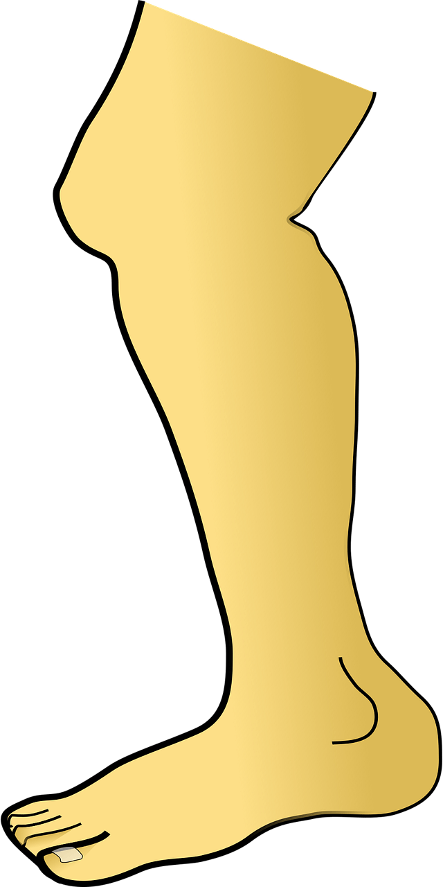 전방십자인대 파열&amp;#44; 운동선수만의 부상이 아니다