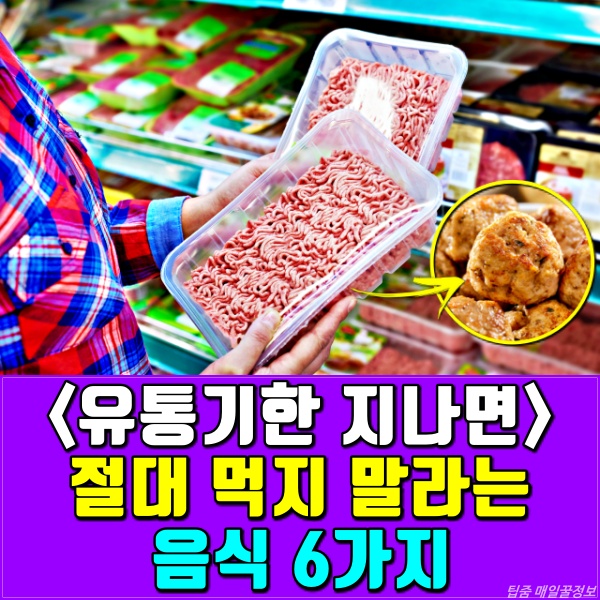 다진고기 갈은고기 미트볼 유통기한 지나면, 먹으면 안되는 음식, 햄버거병, 장출혈성대장균감염증,건강 팁줌 매일꿀정보