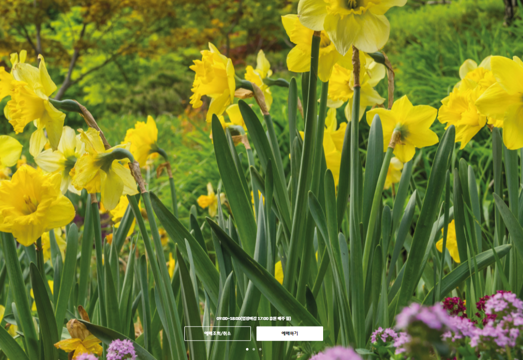 화담숲 실시간 온라인 예매 및 300% 즐길방법 확인