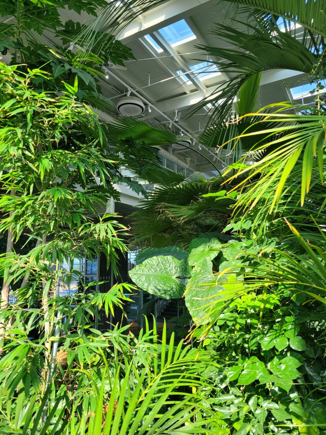 파주 문지리535 식물원 카페 