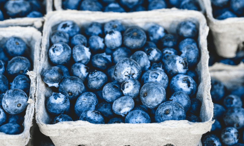 근감소증에 좋은 음식 관련 사진2