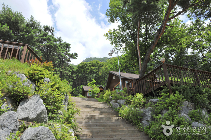 용문산 자연휴양림