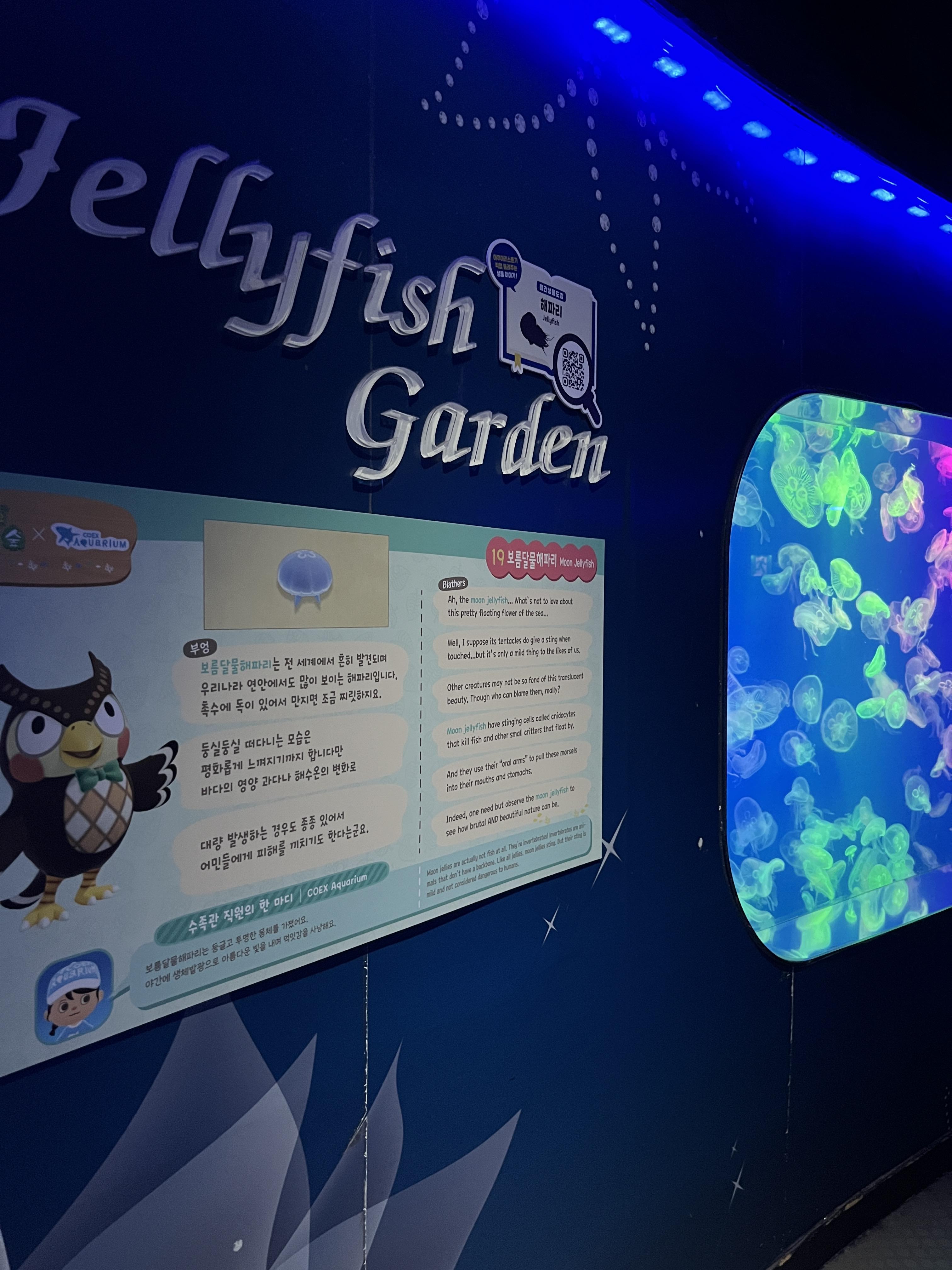 코엑스 아쿠아리움 동물의숲