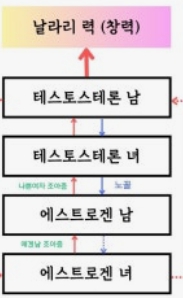 에겐 테토 테스트