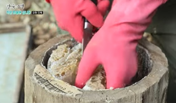 6시내고향-강원-인제-벌꿀-설악산백담벌꿀