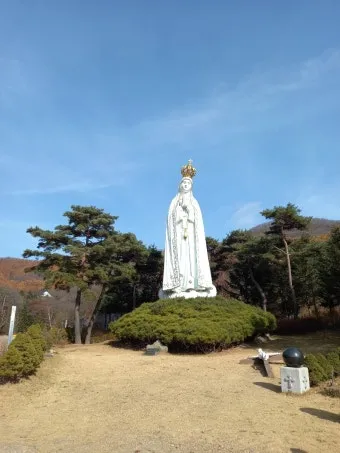 천진암 흰민들레 백양자연관찰로 괭이눈 개화_13