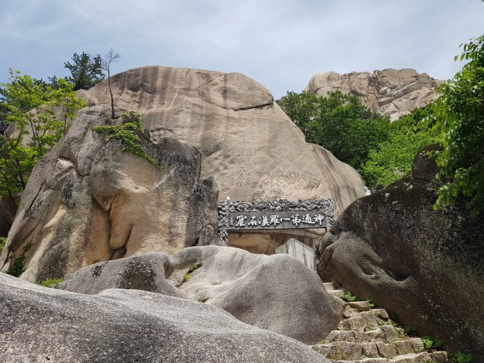 대체텍스트