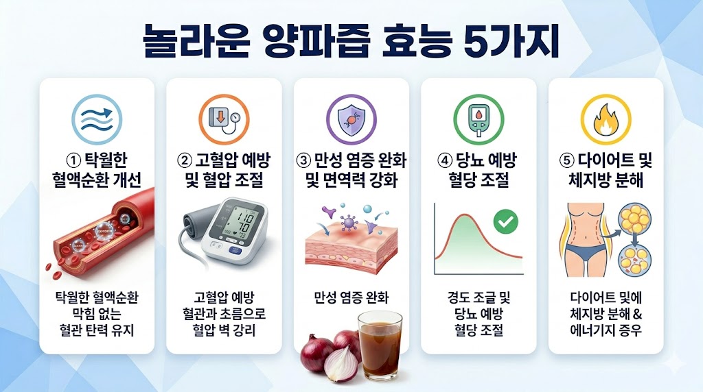 양파즙 효능