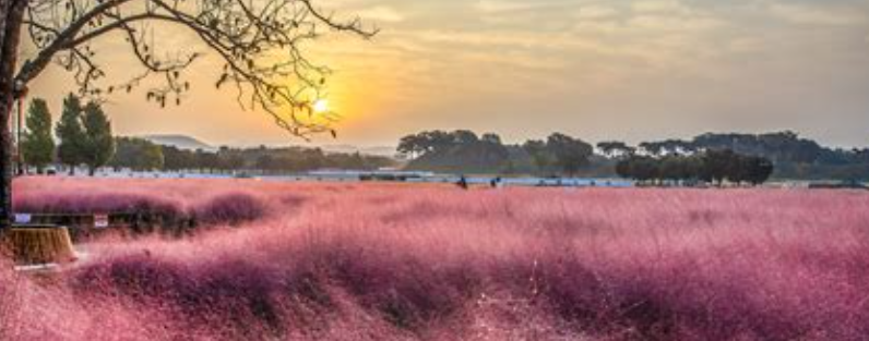 10월 국내 여행지 추천1