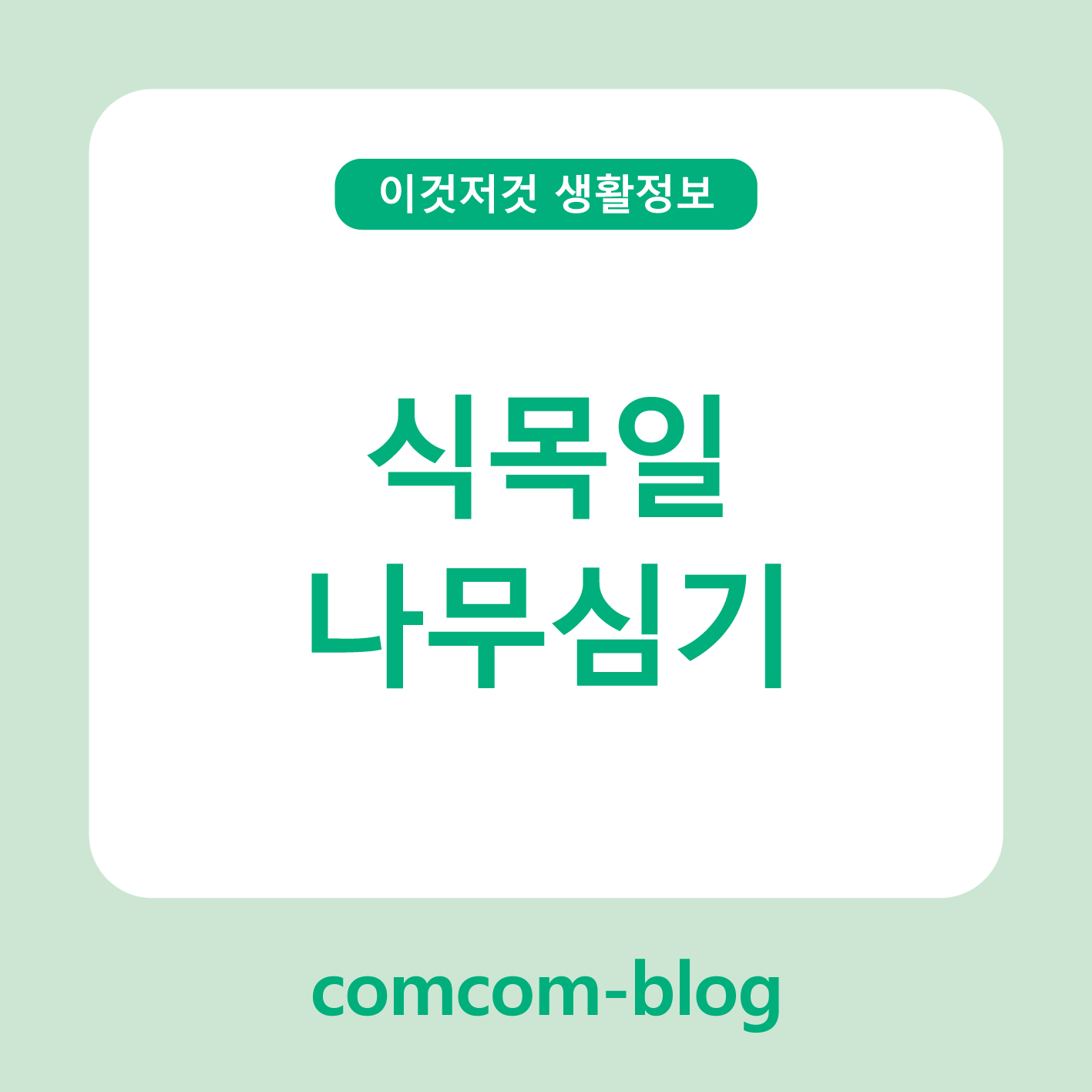 식목일, 자연을 위한 작은 실천! 나무심기의 가치