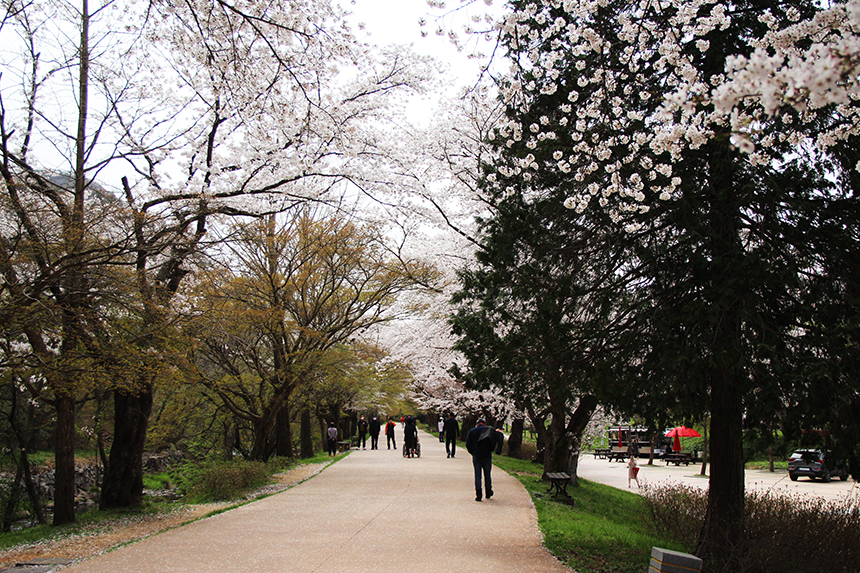 고창 선운사 경내