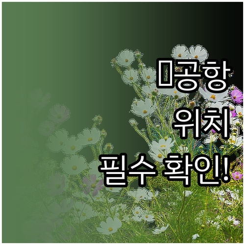 중국동방항공 인천공항 T1 카운터 및..