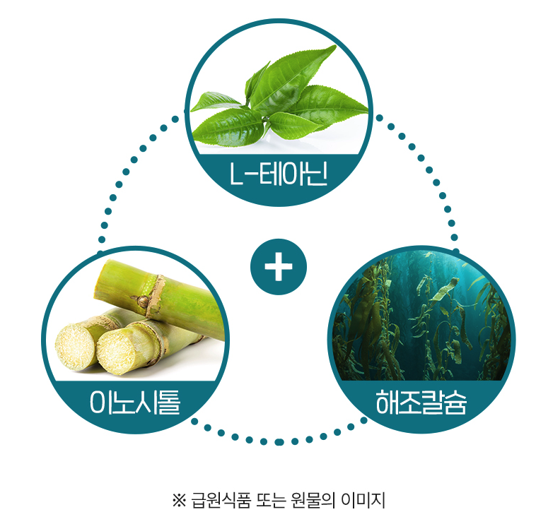 닥터린 멜라바인 가격, 후기 등 구매 전 3분 확인