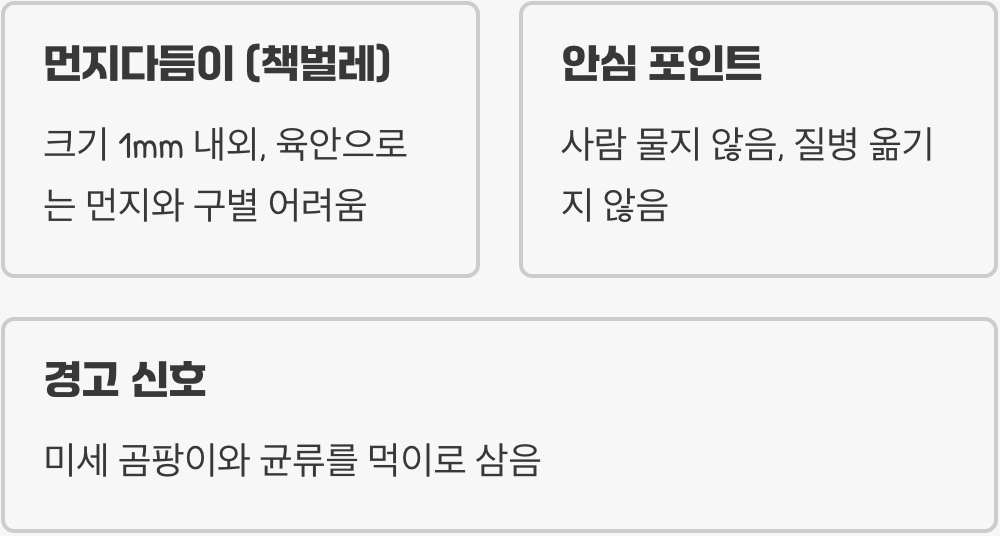 이 벌레의 진짜 정체는? (책벌레)