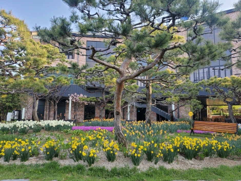 광주 휴심정
