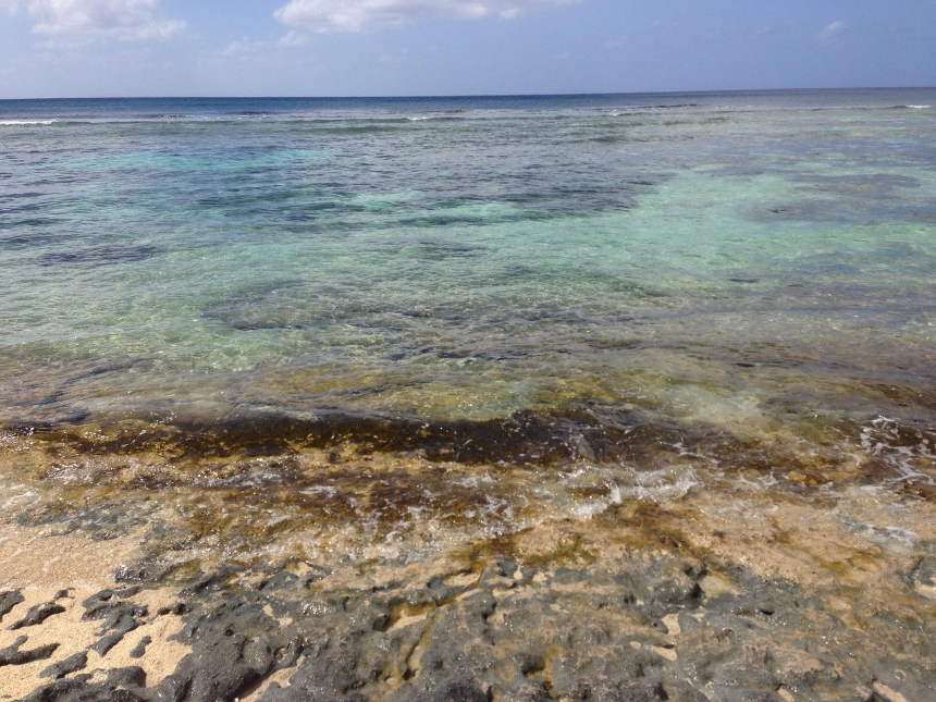 사이판 또는 괌 입국 준비 절차 완벽 가이드 (2024 최신 업데이트) 