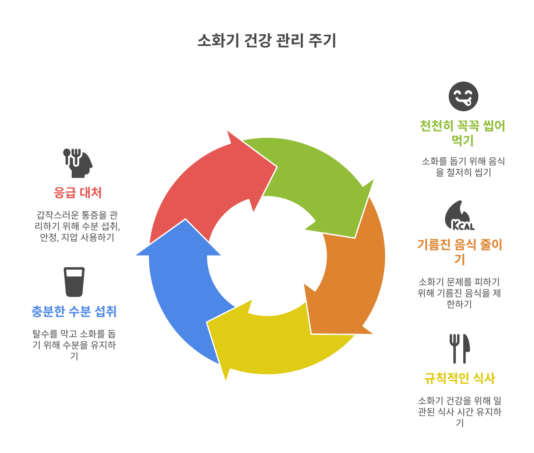 배 아픔 완화를 위한 생활 습관과 응급 대처법