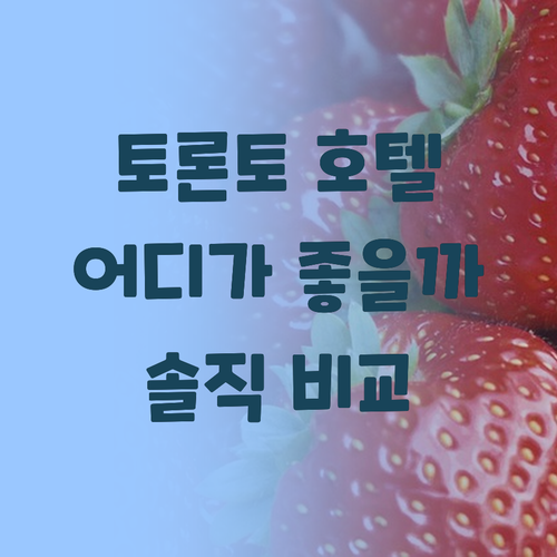 토론토 여행객 필독 추천 호텔 팬 퍼..