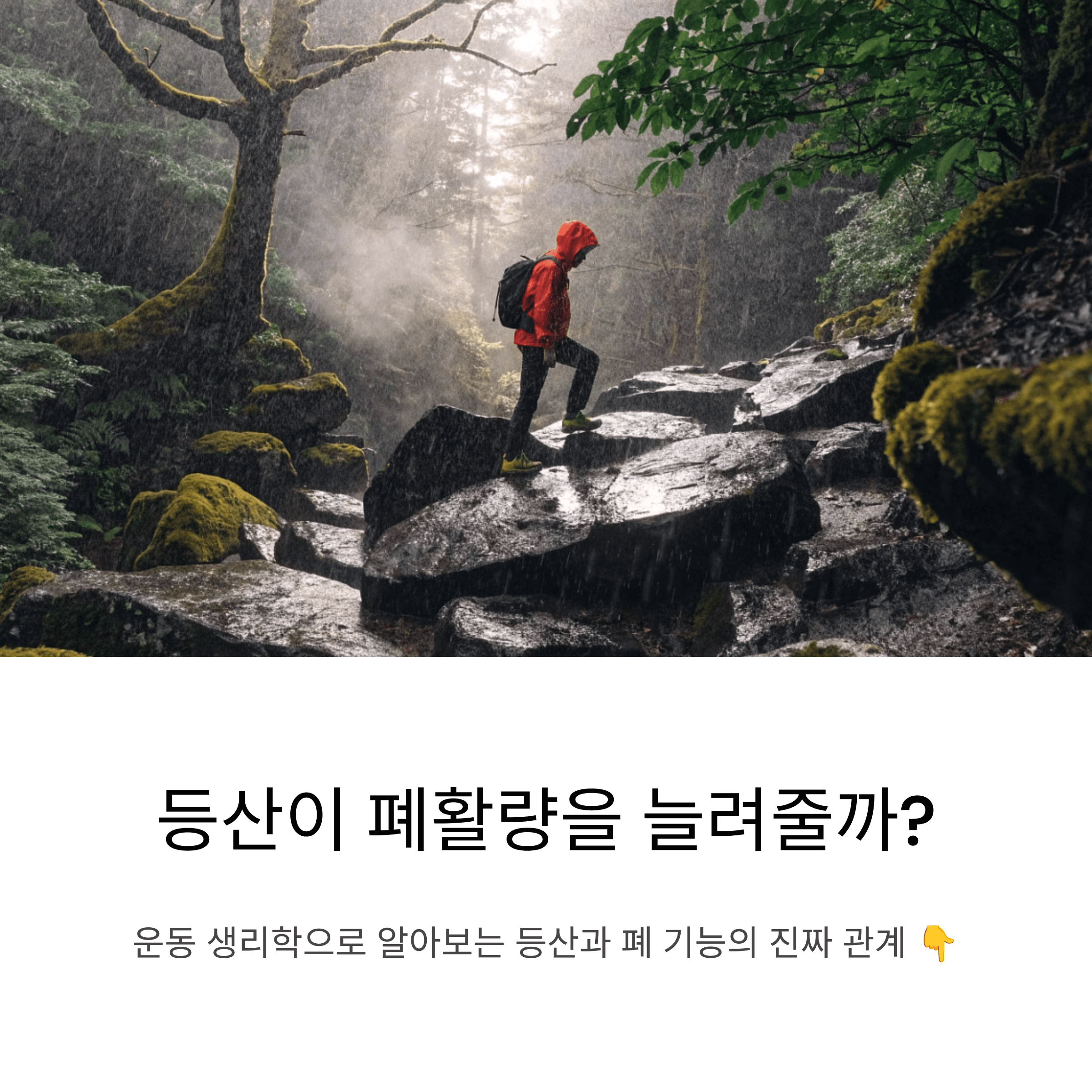등산과 폐활량의 관계, 과학적으로 접근하면 보이는 것들