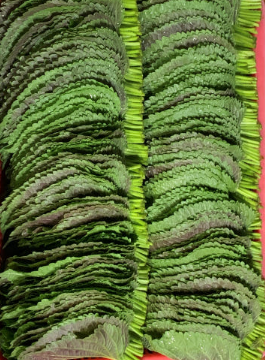 열음농장 깻잎