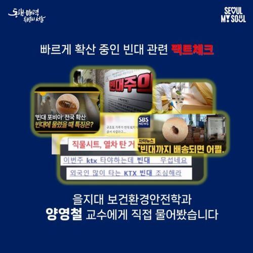 빈대 팩트 체크 전문가 8문 8답