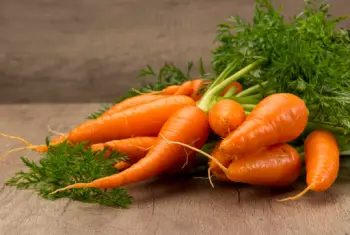 당근 효능 효과 및 영양성분, 부작용과 주의점