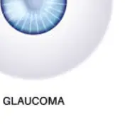 백내장 초기증상 백내장이란 무엇인가 &mdash; 눈 속 렌즈가 흐려지는 순간