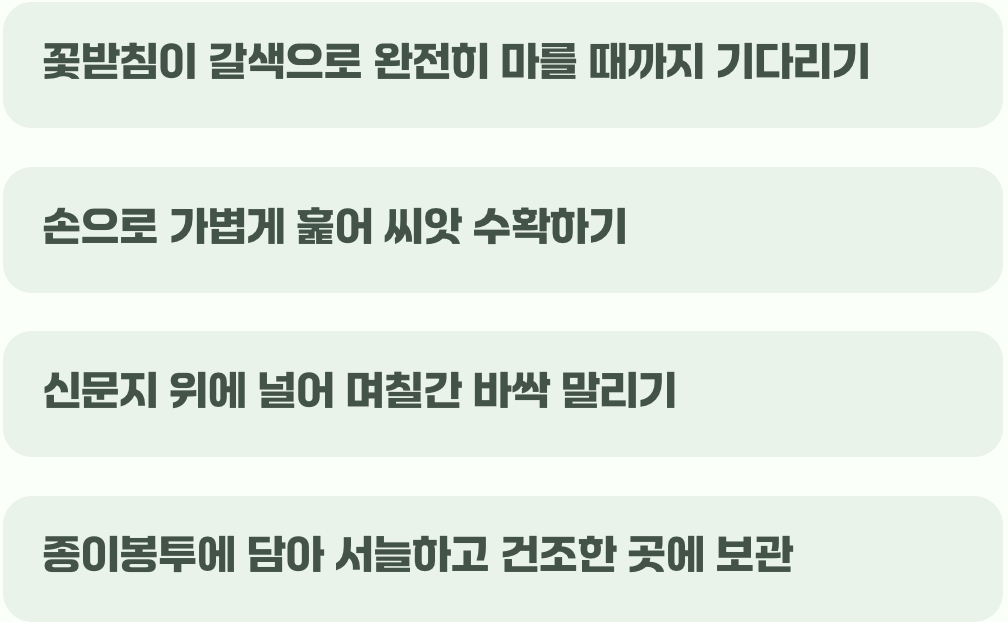 다음 해를 기약하는 씨앗 받기