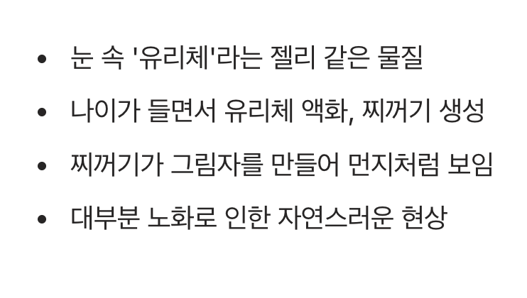 내 눈에 떠다니는 먼지, 비문증의 정체