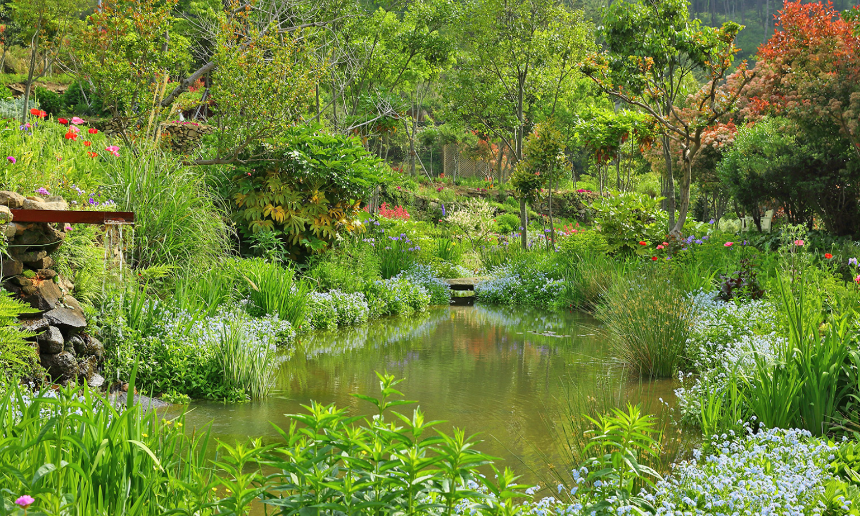 특색있고 아름다운 민간 정원 30선 추천 여행 - 10. 남해 섬이정원