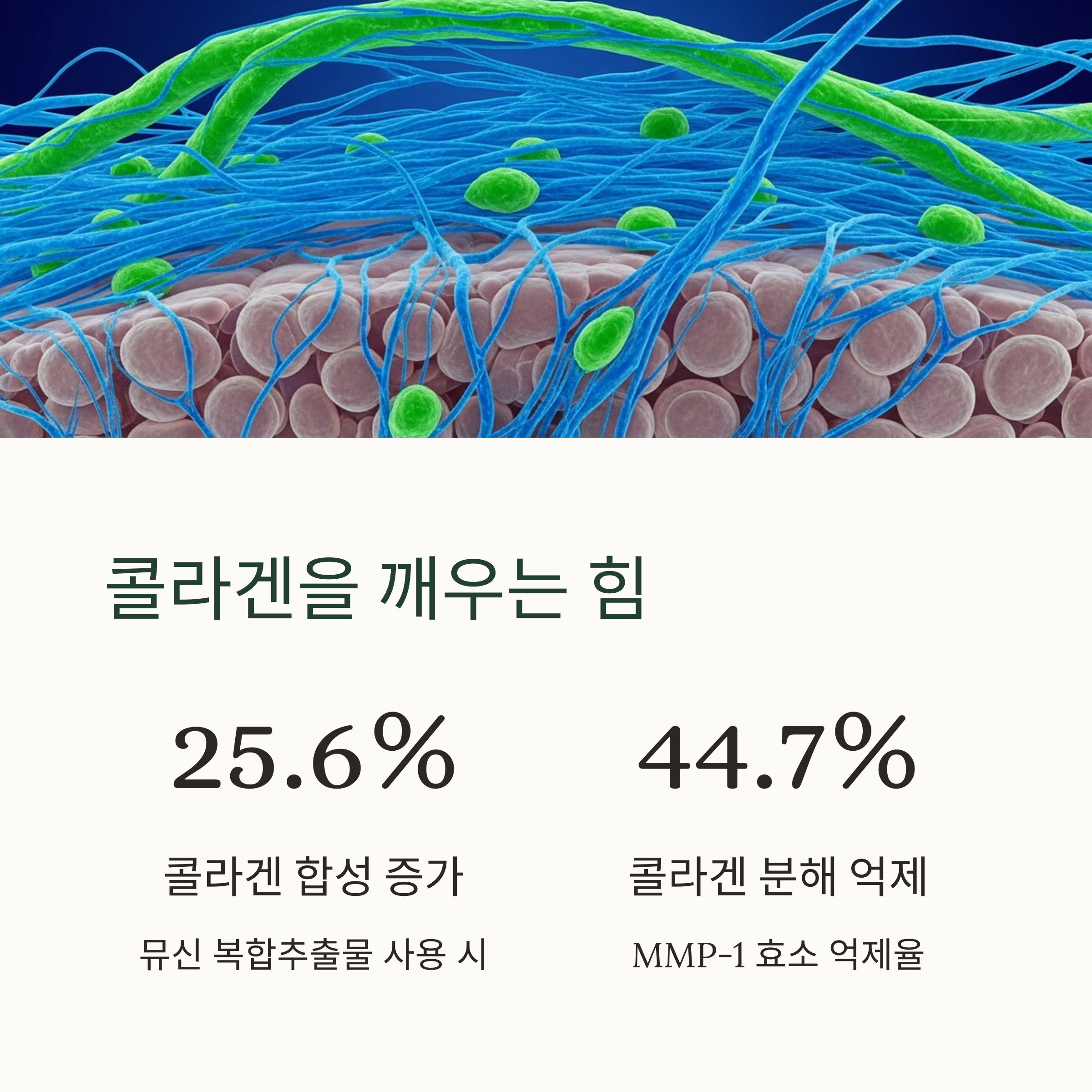 콜라겐을 깨우는 힘