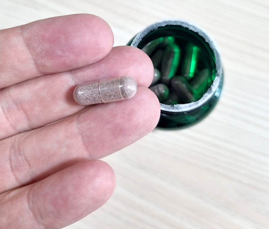 스완슨 빌베리 후기