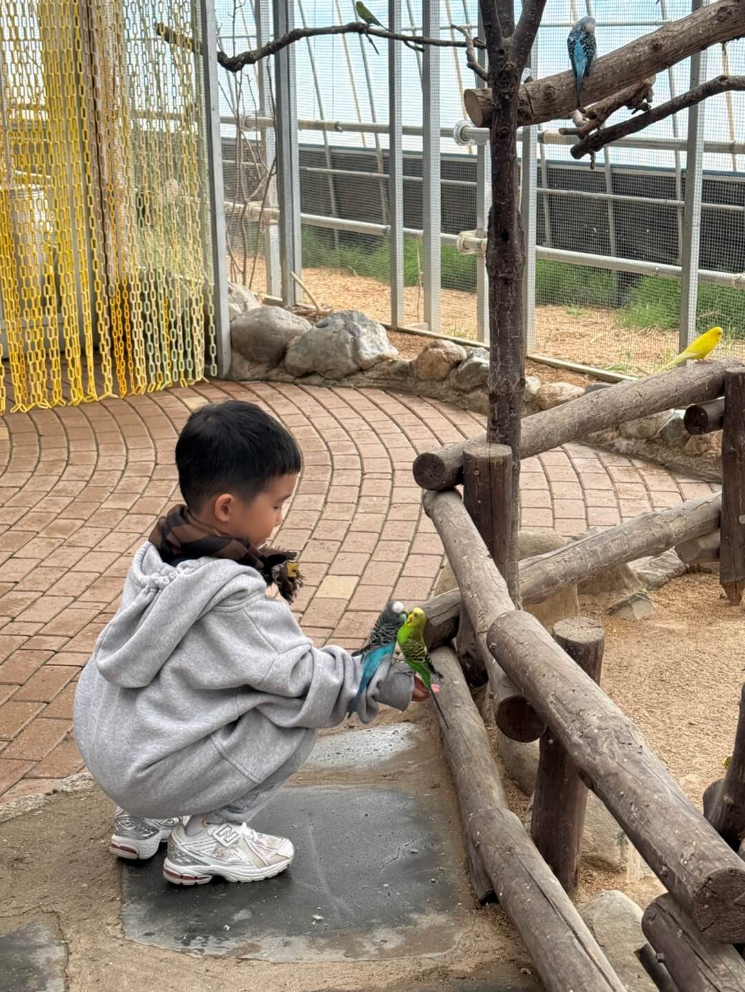경주 동궁원에서 아이가 앵무새를 가까이 보고 먹이 체험하는 모습