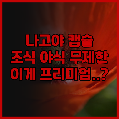안신 오야도 우먼 & 맨 나고야 후기..