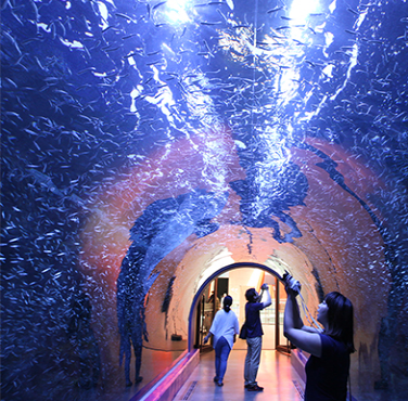 여수 가볼만한곳 베스트10