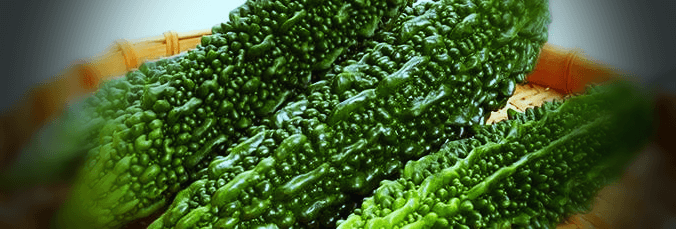 여주-열매-사진