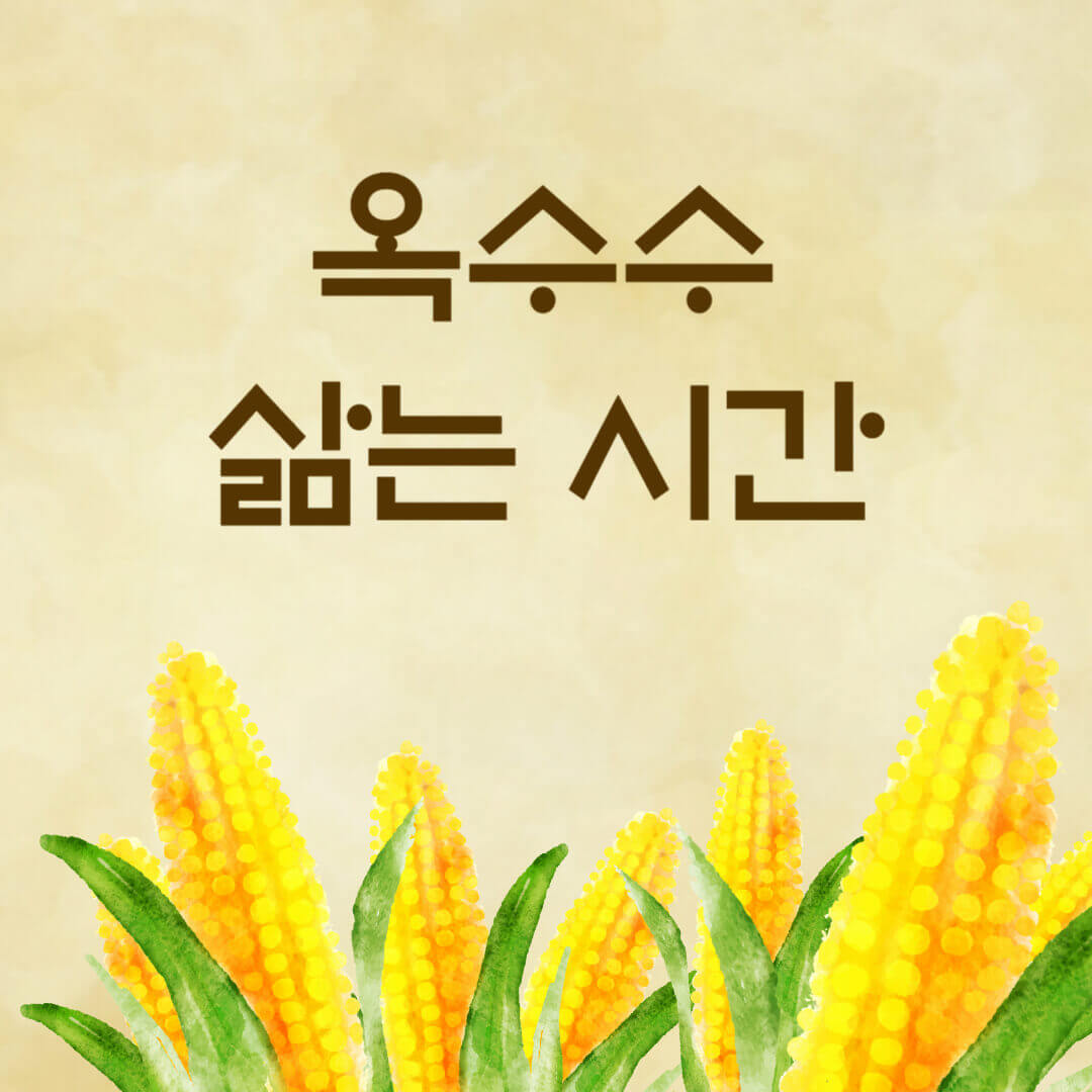 옥수수 삶는 법 시간 뉴슈가 및 보관방법