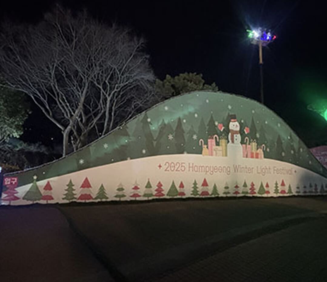 함평 겨울 빛축제
