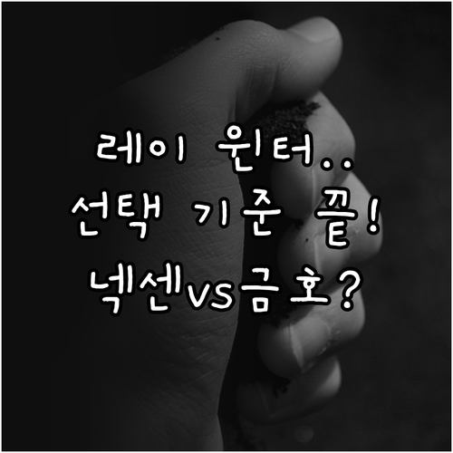 경차 레이 윈터 타이어 선택 기준 넥..