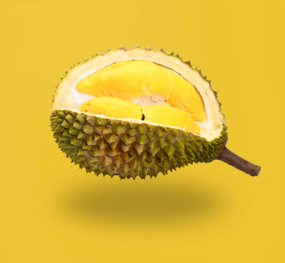두리안 효능