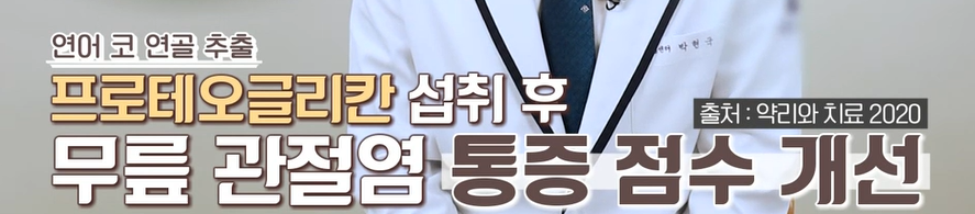 프로테오글리칸 효능