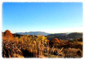 실봉산